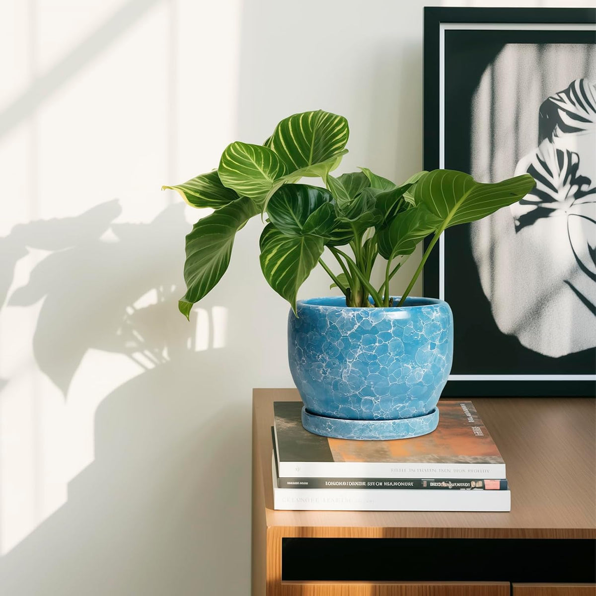 SQOWL 6 Inch Plant Pot - Ceramic Indoor Planter with Drainage Hole and Saucer, Decorative Ceramic