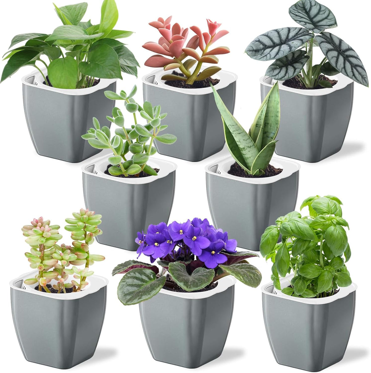 8 Pack 4-inch Plant Pots Indoor Garden Decorative Flower pots Small Self-Watering Planters for