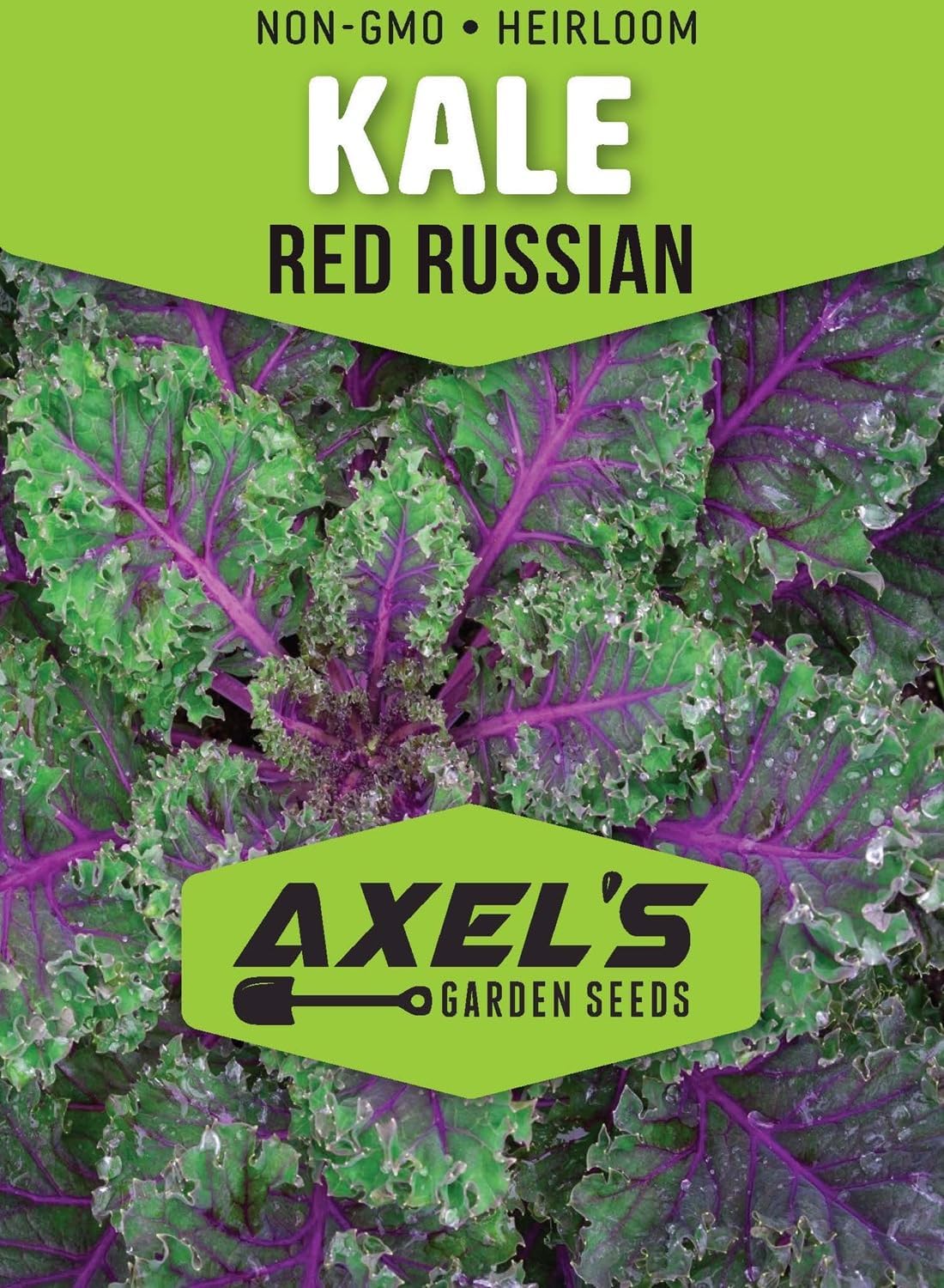 Kale Seeds for Planting - Plant & Grow Heirloom Kale Varieties Home Outdoor Garden – Easy Grow
