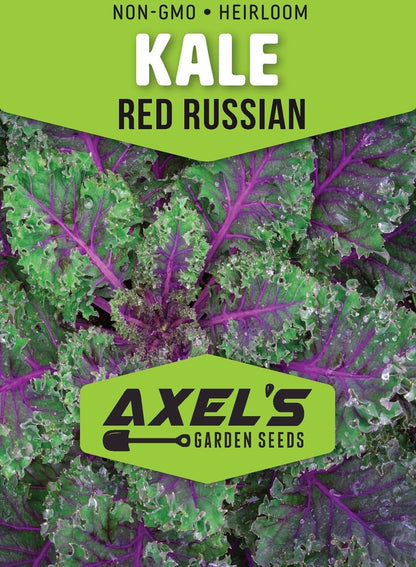 Kale Seeds for Planting - Plant & Grow Heirloom Kale Varieties Home Outdoor Garden – Easy Grow