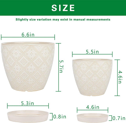 Docrin Ceramic Plant Pots Indoor, 6.6 + 5.5 Inch Planters with Drainage Holes and Saucer for