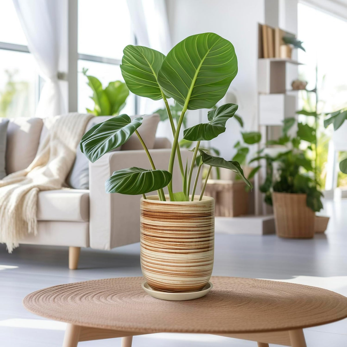 8 Inch Plant Pot, Ceramic Planter for Outdoor Plants, Large Plant Pot Indoor with Drainage Hole and