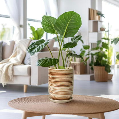 8 Inch Plant Pot, Ceramic Planter for Outdoor Plants, Large Plant Pot Indoor with Drainage Hole and