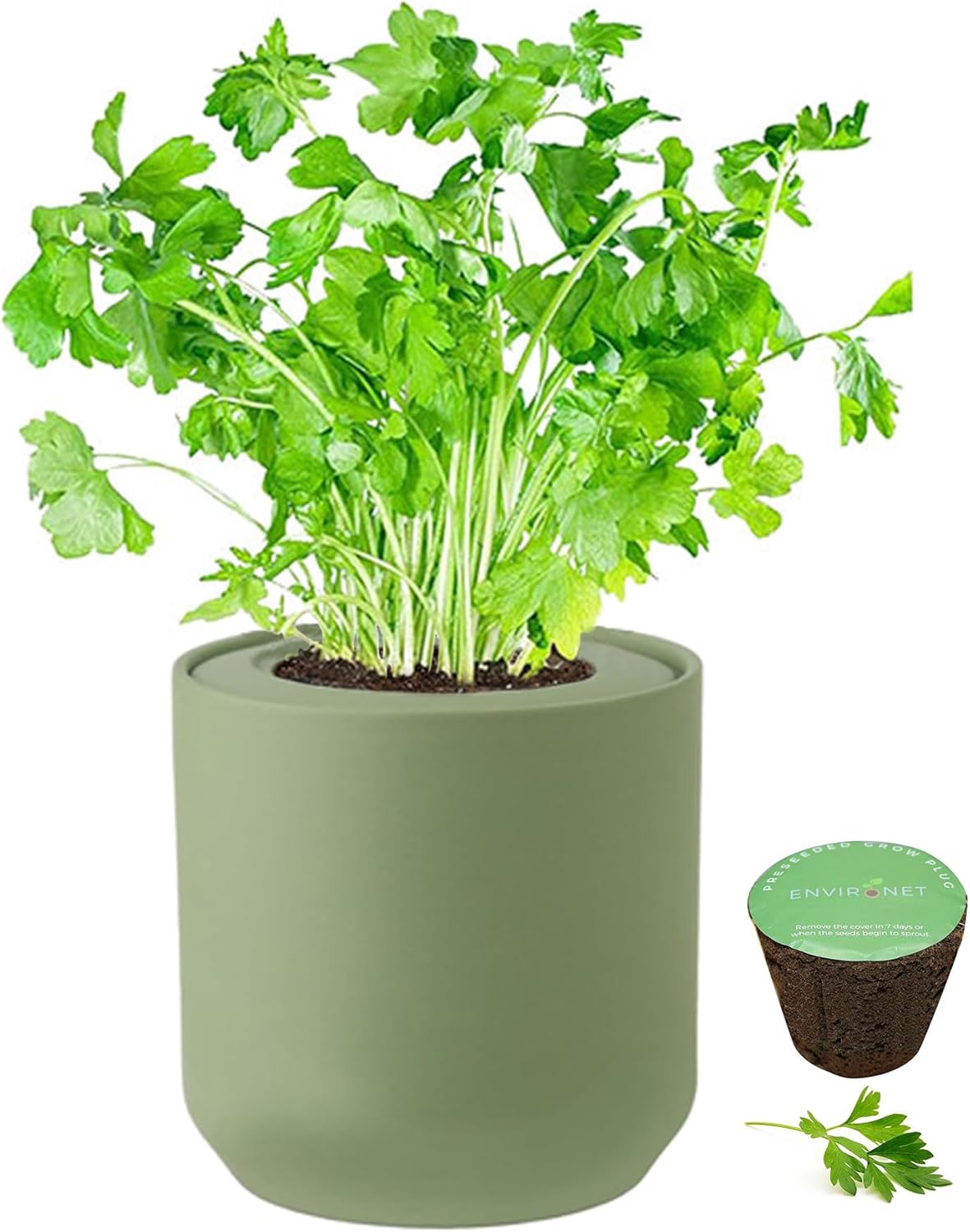 Hydroponic Herb Growing Kit, Self-Watering Kitchen Herb Garden Starter Kit with Green Ceramic Pot