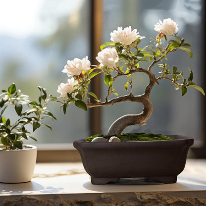 MUZHI 2PACK Unglazed 6” Ceramic Bonsai Pot with Humidity Trays, Breathable Handmade Rectangle