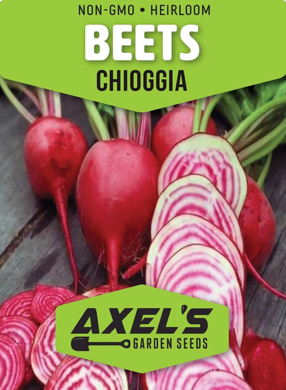 Chioggia Beet Seeds for Planting – Plant & Grow Heirloom Chioggia Beets in Home Outdoor Vegetable