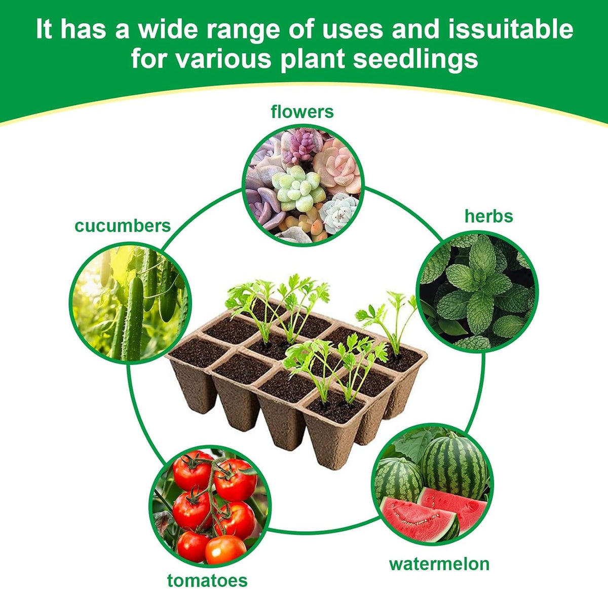 Seedling Starter Traysk,Biodegradable Seed Starter Trays for Seedlings,Eco-Friendly Peat Pots(60