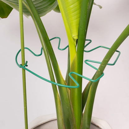 5PCS Green Monstera Plant Stem Support - 11x9.4 Adjustable Fishbone Cactus Stake Holder, Durable