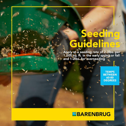 Barenbrug Turf Blue Pro Kentucky Bluegrass Lawn Seed with Yellow Jacket Seed Coating, All-Season