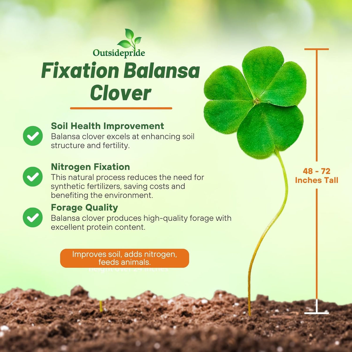 Outsidepride Fixation Balansa Clover Seeds for Lawn - 10 lbs. Coated & Inoculated, Cold Season