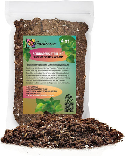 Gardenera Scindapsus Sterling Potting Mix - Promote Strong Roots and Captivating Foliage with Our