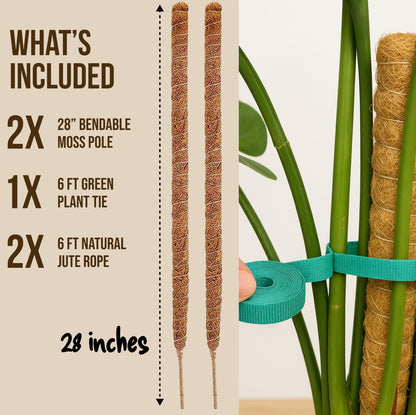 Moss Pole Monstera Plant Support – 2 Pack 28” Bendable Moss Pole Monstera Plant Support, Plant
