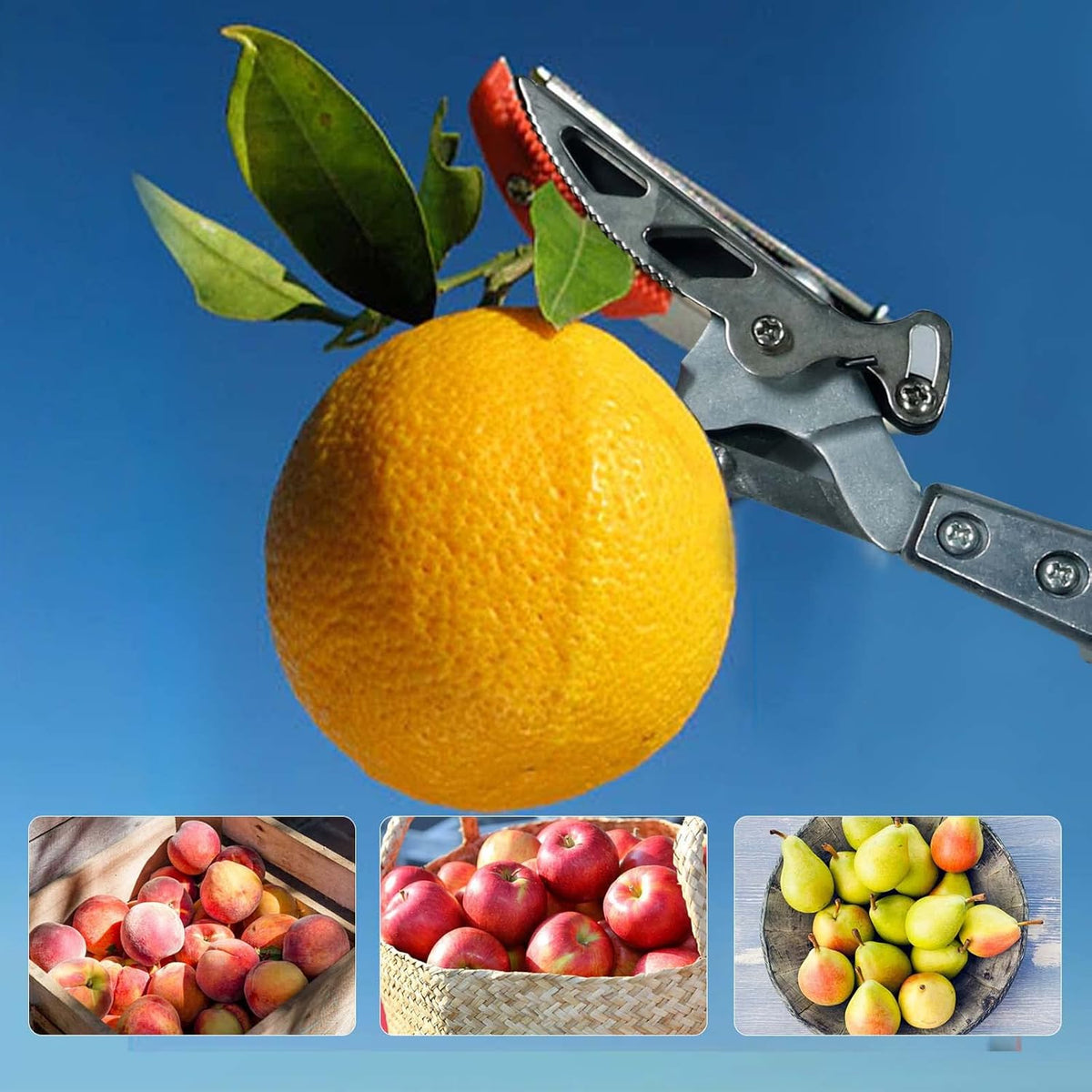 GARTOL Pruner for Garden, Cut Upto 1 Inch & Hold Telescopic Pole Pruner, Fruit Picker with Rotating
