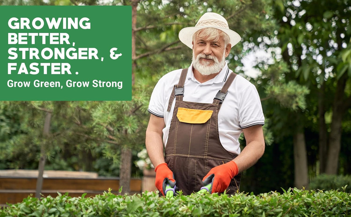 6-6-6 All-Purpose Professional Plant Food Fertilizer; Ideal for Winter Care & Spring Feeding