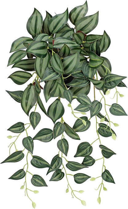 DILATATA Fake Plants Artificial Potted Plants 20 Inch Faux Peperomia Ivy Vine Plant Hanging Plant