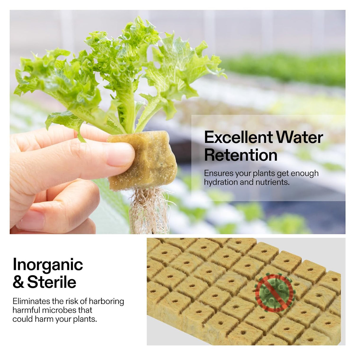 VIVOSUN 1" Rockwool Cubes, 200 Plugs Stonewool Starter Grow Cubes for Cuttings, Cloning, Plant