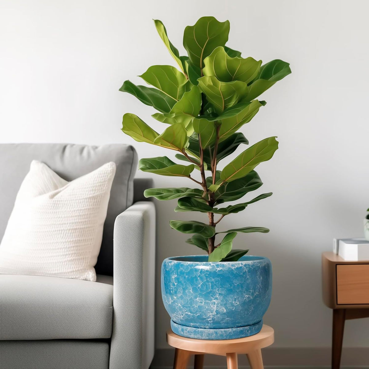 SQOWL Ceramic Planters - 10 Inch Plant Pot Indoor with Drainage Hole and Saucer, Decorative Flower