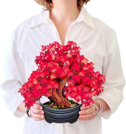 Freshcut Paper Pop Up Cards, Red Maple Tree, 12 Inch Life Sized Forever Flower Bouquet 3D Popup