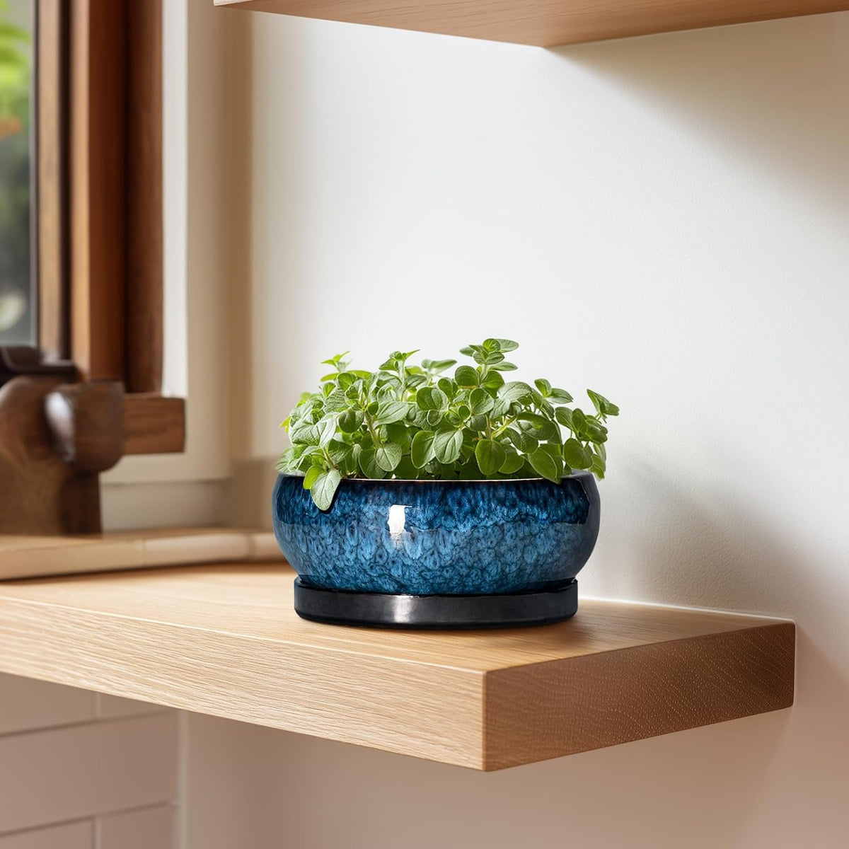 Succulent Pots - 6 Inch Ceramic Bonsai Pots with Drainage Hole and Saucer, Shallow Planter for