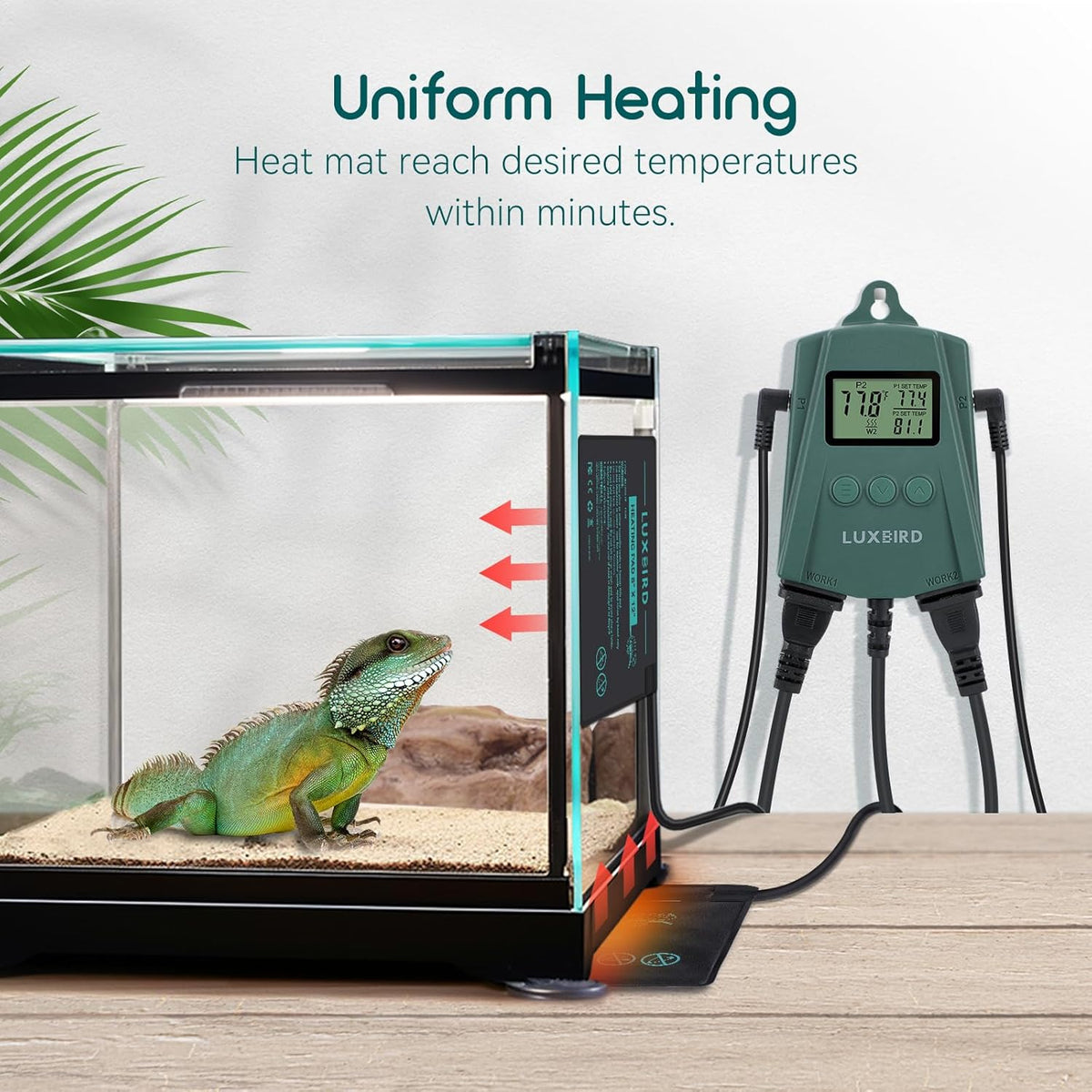 Luxbird Reptile Heating Pad 8x12 Inch with Dual Output Reptile Thermostat LB-2SC Combo Set Under