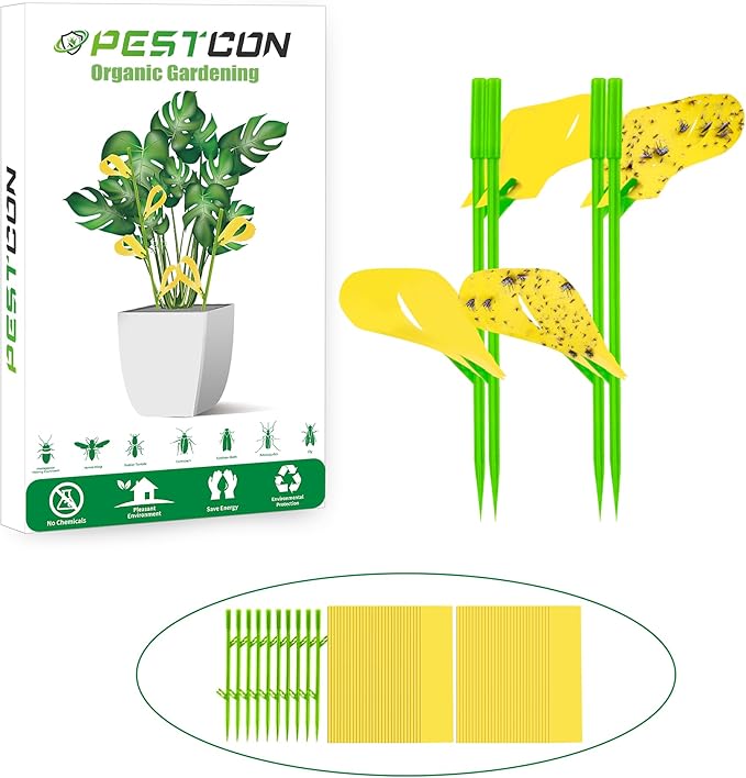 60PCS Yellow Sticky Traps for Gnats Fungus Gnat Traps for House Indoor Fruit Fly Traps for