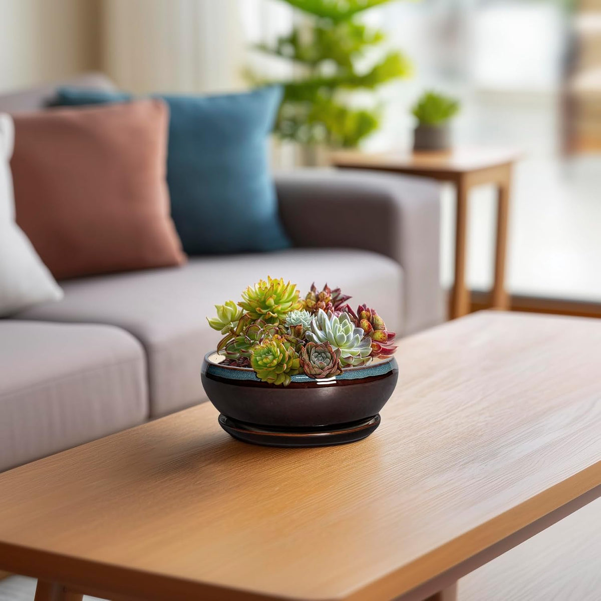 SQOWL Succulent Pots with Drainage Hole - 6 Inch Ceramic Bonsai Tree Pots, Shallow Planter with