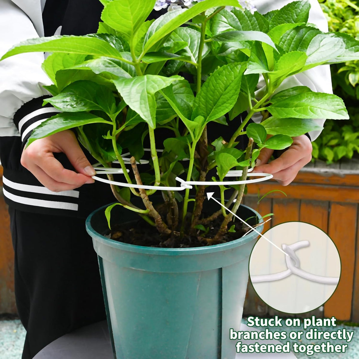 5PCS Monstera Plant Stem Support White - 11x9.4 inches, Durable Adjustable Leaf Supports for Indoor