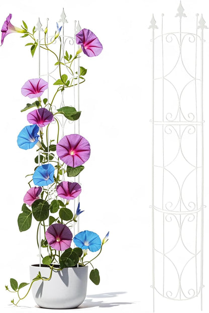 Garden Trellis 2 Pack 72'' H x 12'' W Metal Plant Trellis Indoor/Outdoor Metal Garden Trellis Plant