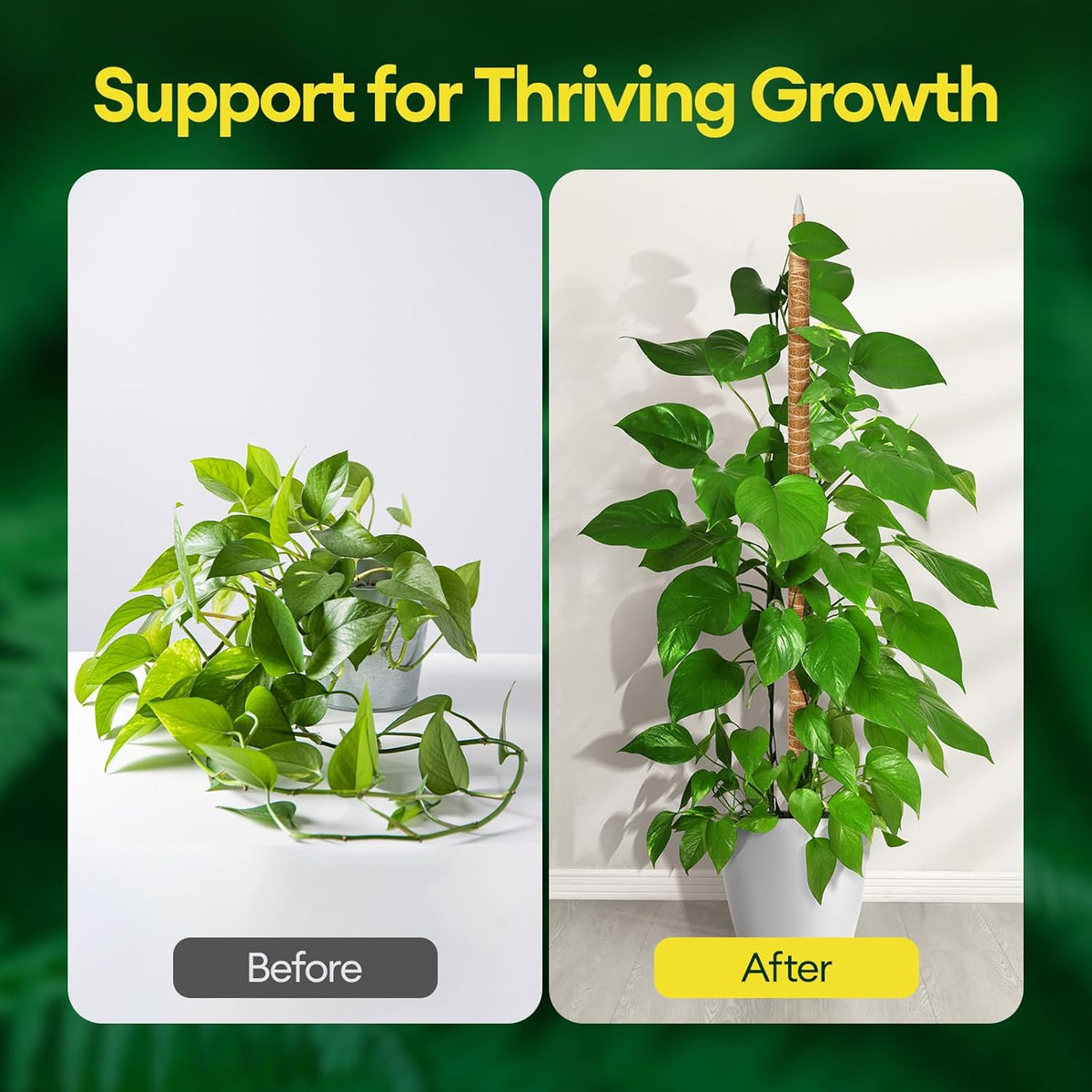 3-Pack 48” Bendable Moss Pole Monstera Plant Support for Climbing Indoors Plants, Coir Moss Poles