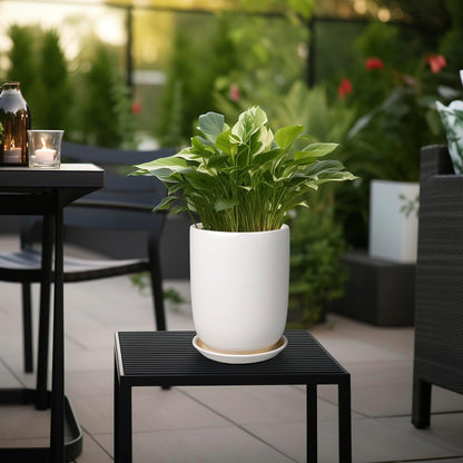Plant Pot 8 Inch - Ceramic Planter for Indoor Plants Outdoor, Large Plant Pot with Drainage Hole
