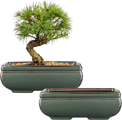 Ceramic Bonsai Pots with Drainage Hole Set of 2, Green Glazed Bonsai Planters for Indoor/Outdoor