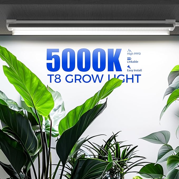 Barrina Grow Lights, 2FT 5000K White Full Spectrum Plant Growing Lamps, 144W(6 x 24W, 800W