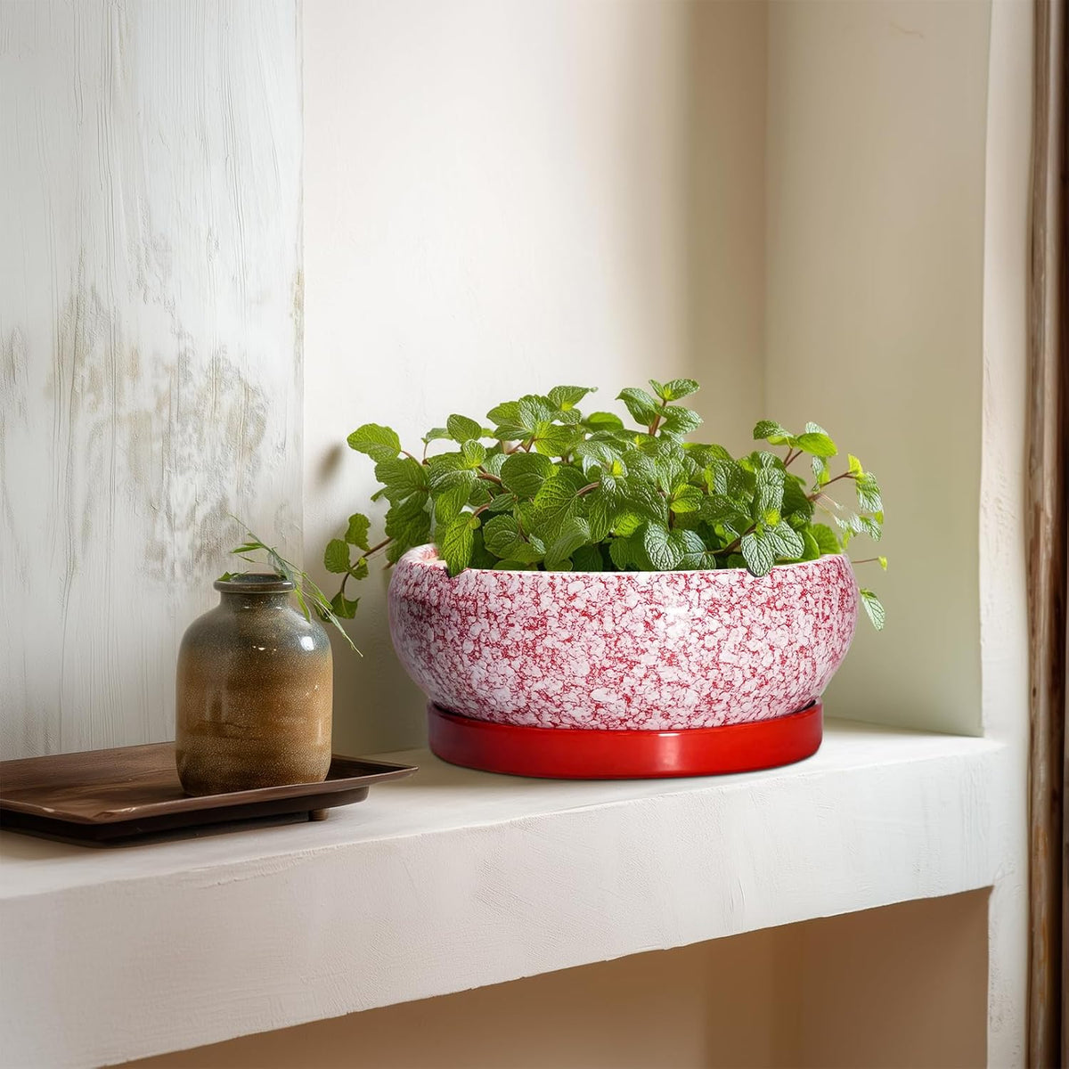 Succulent Pots - 8 Inch Bonsai Pots for Indoor Outdoor, Shallow Ceramic Planter with Drainage Hole