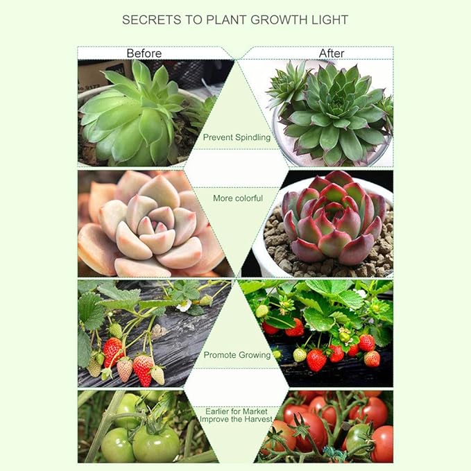 40W Grow Light LED Plant Grow Lights Full Spectrum for Indoor Plants, Auto ON Off with 3/9/12H