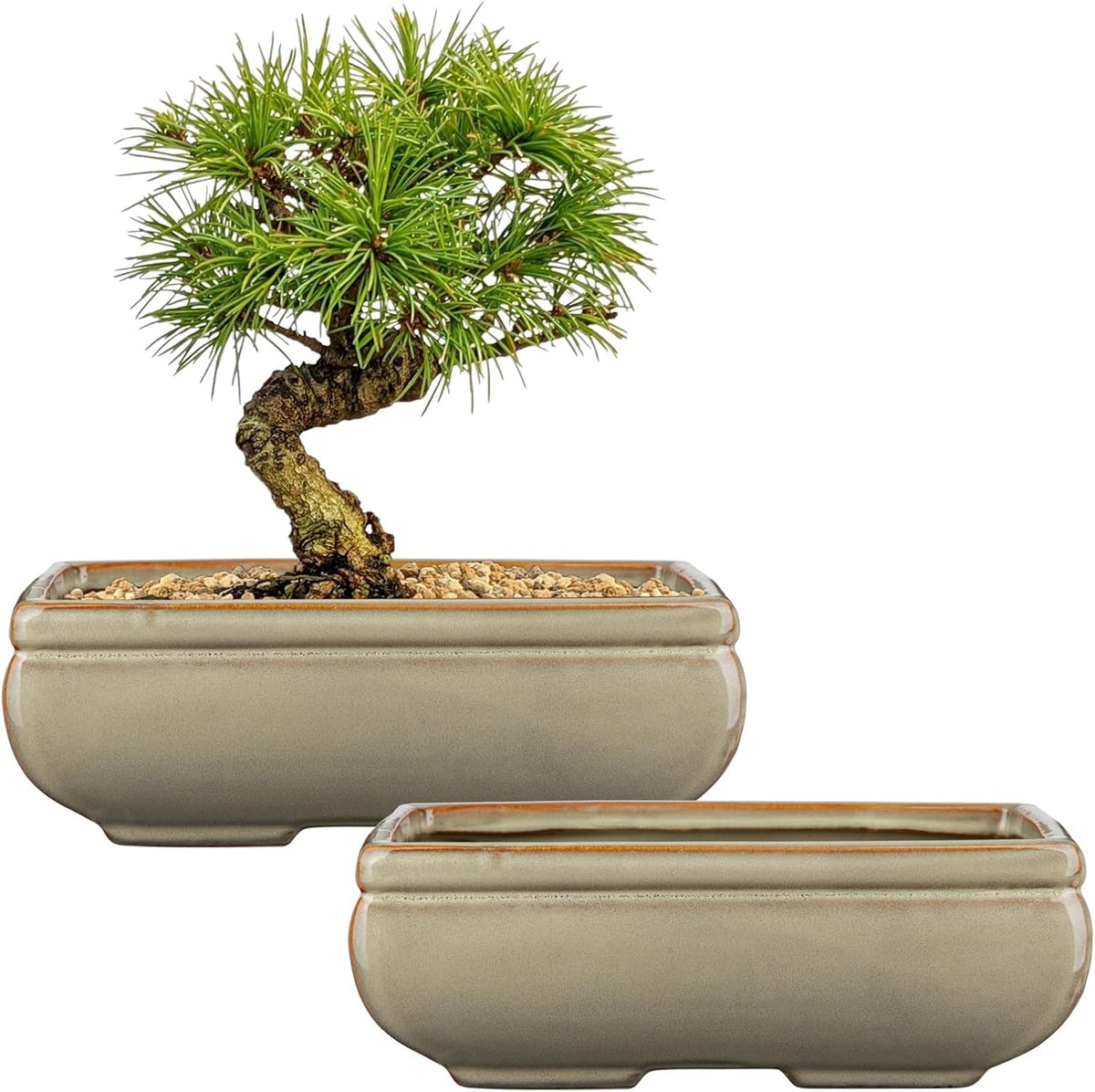 Ceramic Bonsai Pots with Drainage Hole, Set of 2 Rectangular Glazed Bonsai Planters for
