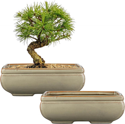Ceramic Bonsai Pots with Drainage Hole, Set of 2 Rectangular Glazed Bonsai Planters for