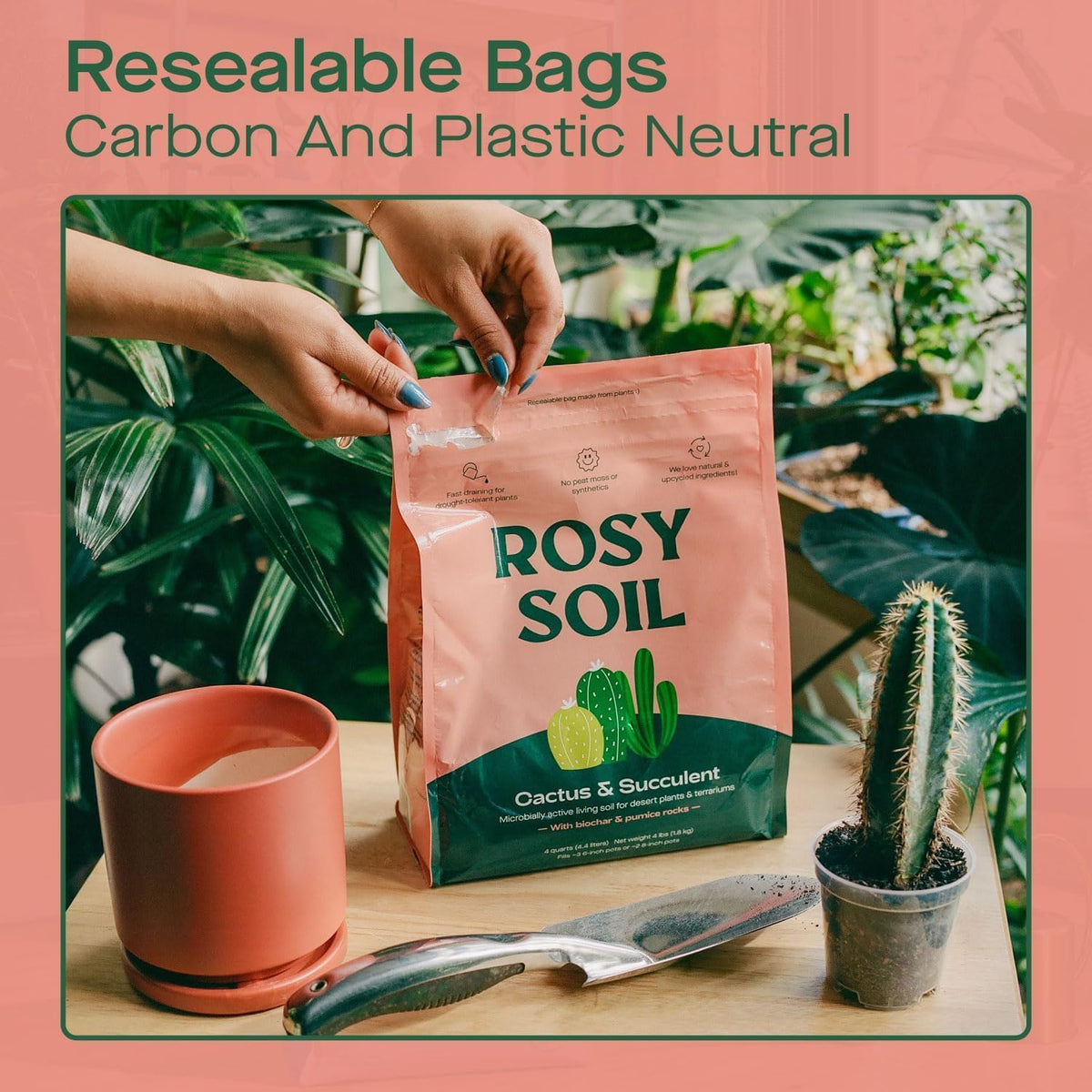 Rosy Soil Cactus and Succulent Potting Soil Mix for Houseplants - Fast Draining Organic Potting