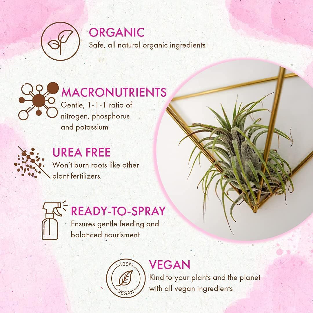 Organic Ready to Spray Air Plant Food - Fertilizer Mist for Weekly Use - Best for Live Tillandisa