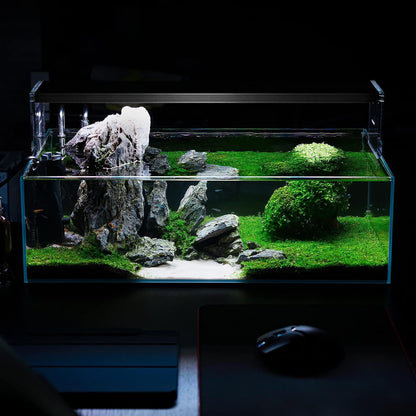 SubstrateSource Live Aquarium Stem Plants - Freshwater Aquatic Plant for Fish Tanks, Aquascaping