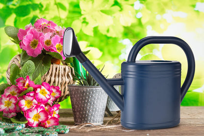 Watering Can 1 Gallon for Indoor Plants, Garden, Outdoor Plant House Flower, Gallon Large Long