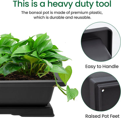 GROWNEER Large Bonsai Training Pots 3 Packs 14 Inch with Drainage Humidity Trays, Bonsai Tree