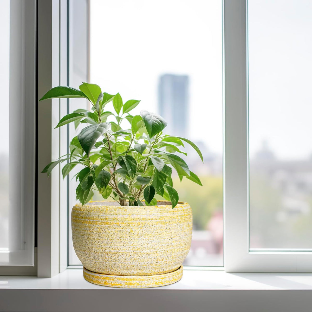 SQOWL Ceramic Planters for Indoor Plants - 10 Inch Plant Pot with Drainage Hole and Saucer, Round