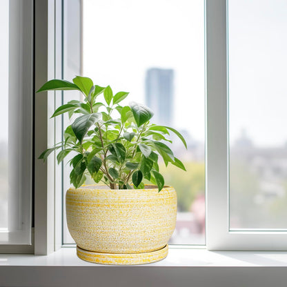 SQOWL Ceramic Planters for Indoor Plants - 10 Inch Plant Pot with Drainage Hole and Saucer, Round
