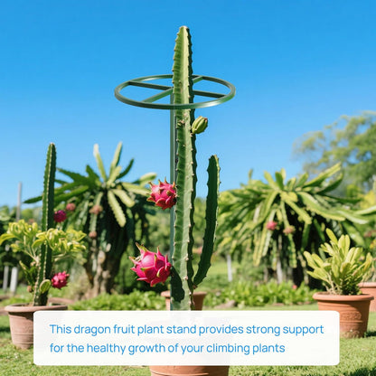 1 Pcs Adjustable Round Dragon Fruit Trellis,Durable Metal Plant Trellis Outdoor Climbing Plants