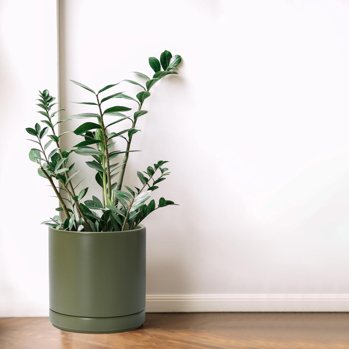 D'vine Dev 8.2 Inch Ceramic Planter Pot with Drainage Hole and Saucer, Indoor Cylinder Round