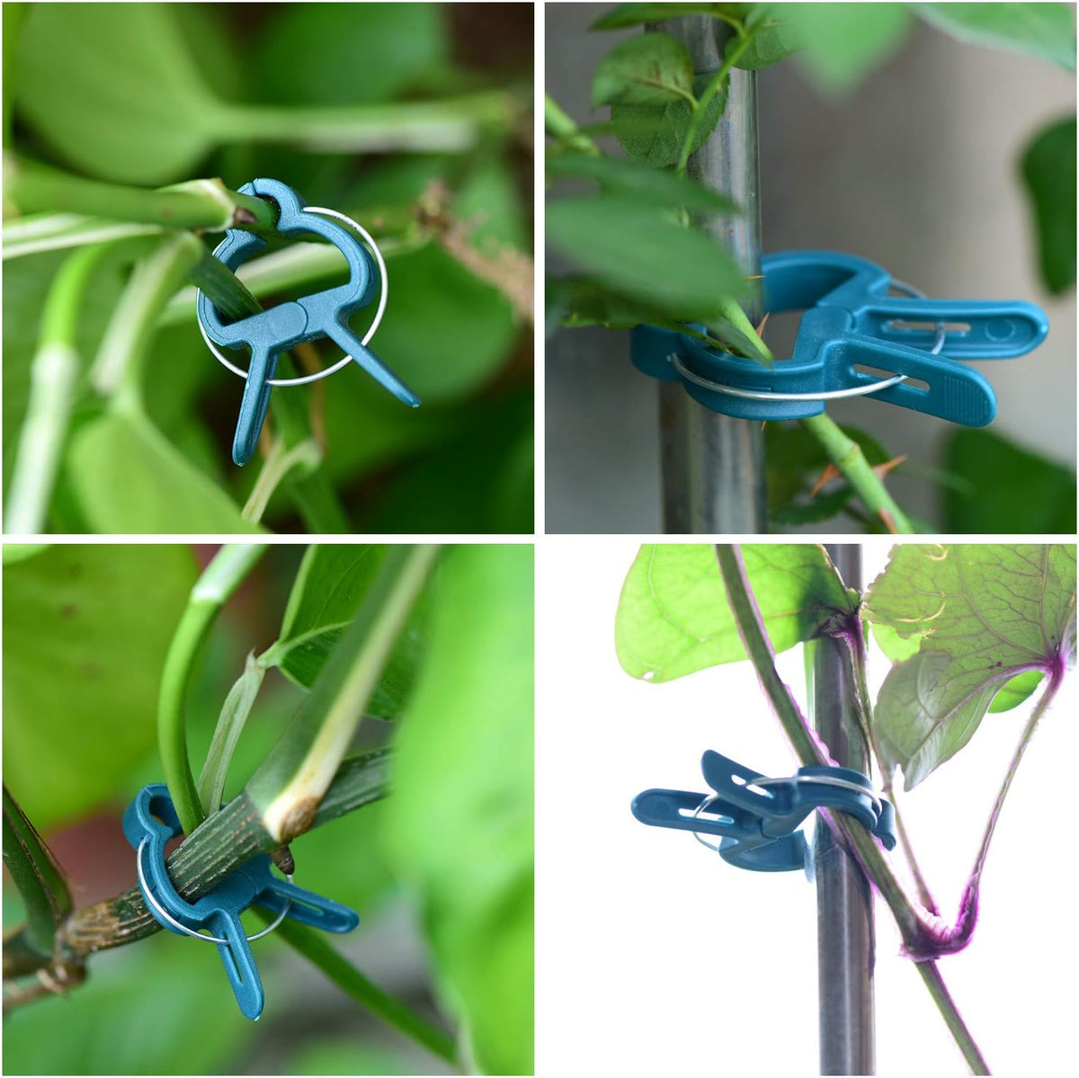 60PCS Plant Clips 2 Sizes Adjusting Reusable Garden Plant Supports Clips for Supporting Stems of