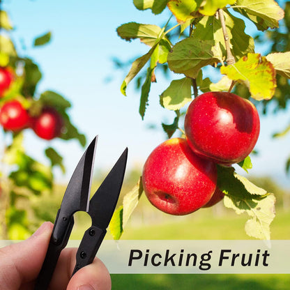 JINJIAN Bonsai Pruning Scissors 12PCS - Small Pruner Shears Bud Leaves Trimmer Garden Shears for