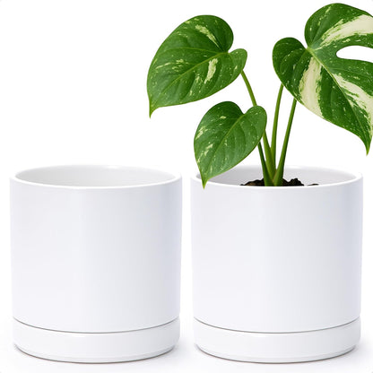 D'vine Dev Set of 2 Plants Pots, 6.5 Inch Ceramic Planter Pot for Plants with Drainage Hole and