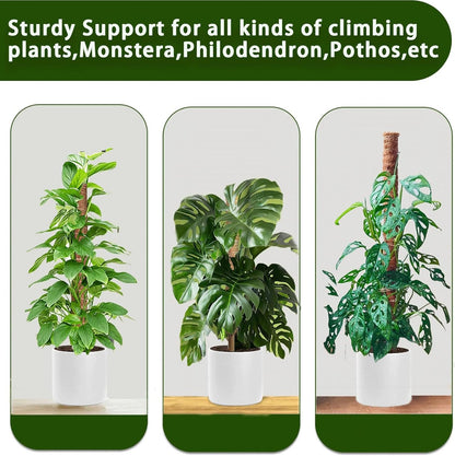 Moss Pole, 4Pack 21 Inch Plant Support Stakes for Indoor Plants, Monstera Plant Support Stakes, 69