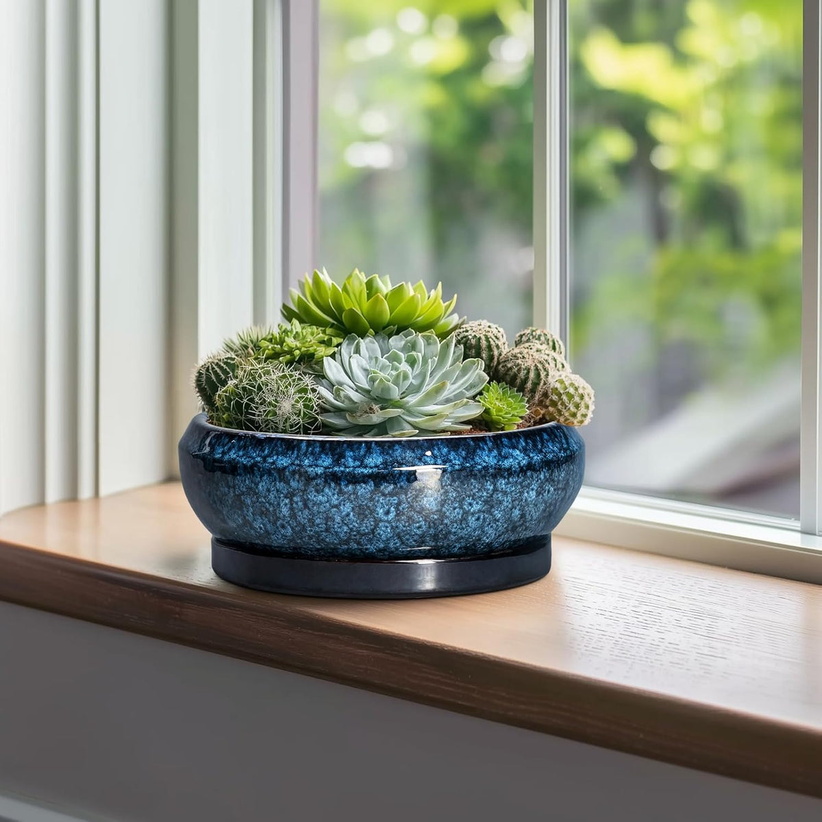 Bonsai Tree Pots 10 Inch - Ceramic Succulent Pot with Drainage Hole and Saucer, Bonsai Pots for